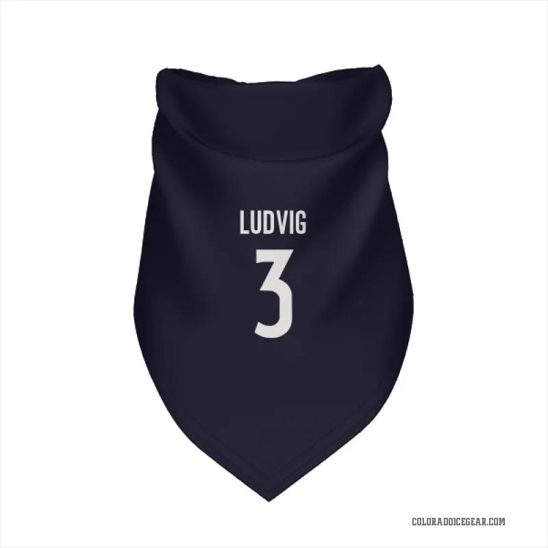 John Ludvig  Navy Colorado Avalanche  Cat & Dog Pet Bandana